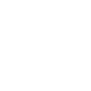 Zendal Academy